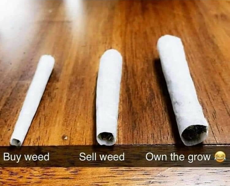 dan_chronicles's tweet photo. I may still buy my weed but I roll joints and blunts like I'm a grower 😂🤣😂
#Dans420 YouTube
https://t.co/k0nV2TtSVQ
#420ClothingShop
https://t.co/QH42coFvC7
#ConcertPage
https://t.co/azGFpxxvIK
#WeedReviews
https://t.co/0JaqWW5qpS https://t.co/99mq9c1oSz