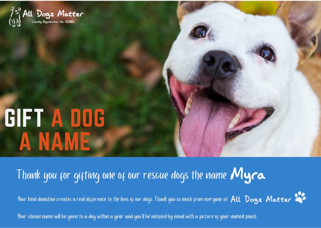 Day 7 of 100! We have just named our sixth rescue dog “Myra” After fellow Crypto meme Dog $Myra …..93 More Rescue Dogs to Go! #28delayslater 🐶 #charity <a href="/myracoinonsol/">Myra | Solana Chain</a> <a href="/toly/"></a> <a href="/AllDogsMatter/">All Dogs Matter</a> #100dogmission <a href="/Rocky_Solana/">Rocky Solana</a> <a href="/rajgokal/">raj 🖤</a>