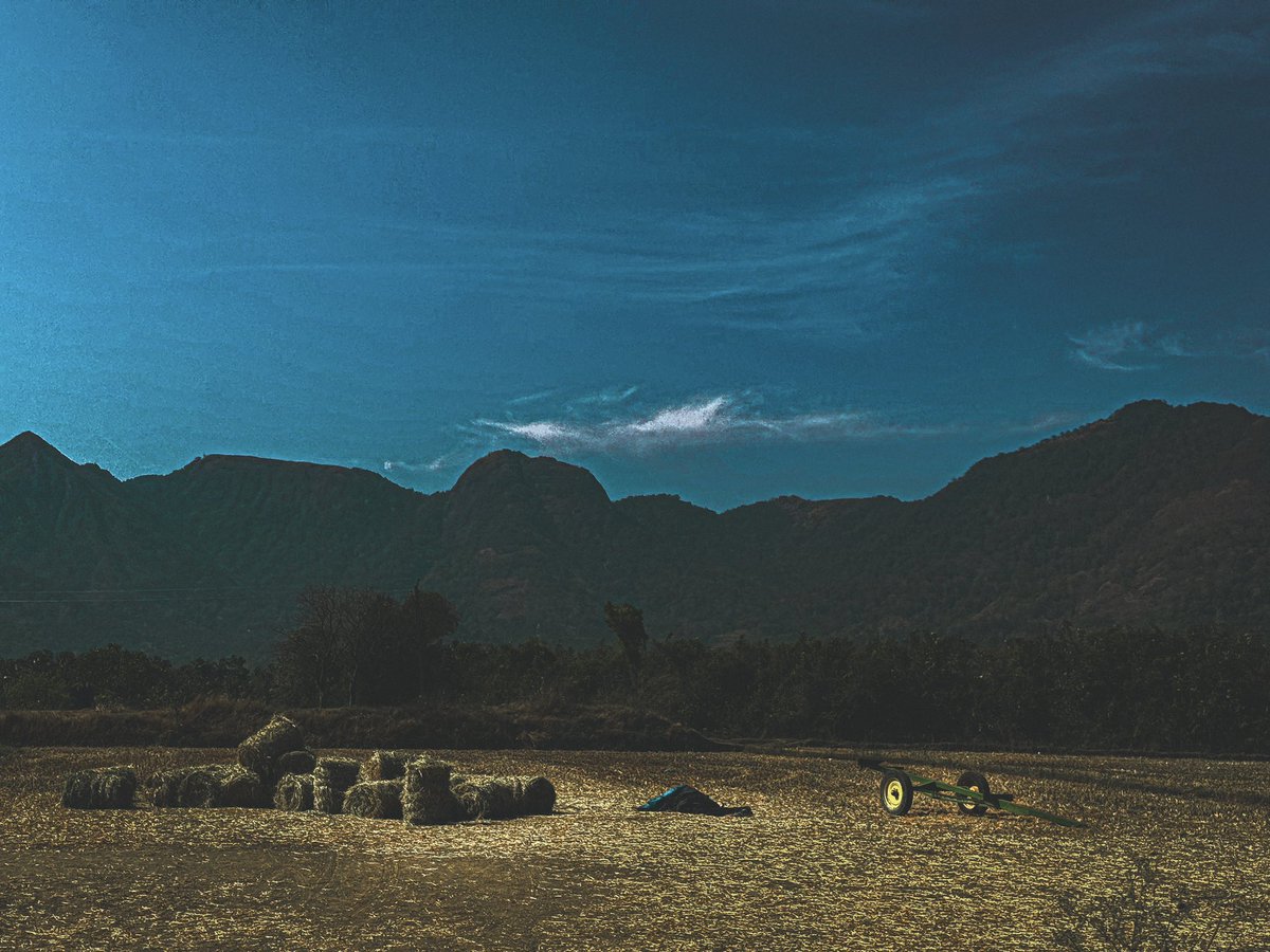 The sun paints the sky and the field in Thenkasi, where nature and culture meet.

📷📍Thenkasi, Tamil Nadu