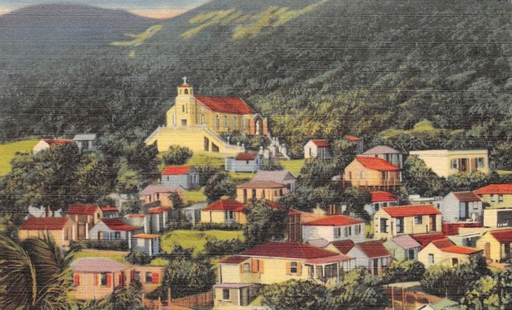 Nancy Bigoss, Author tweet media