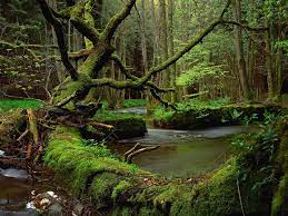 Max Stirner tweet media