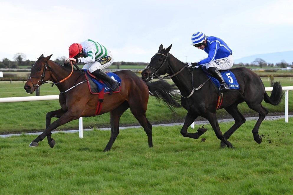 Road To Cheltenham tweet media