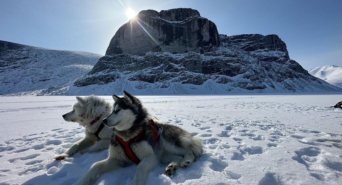 How one woman has walked, skied and dogsledded across the Arctic. buff.ly/4345PBP