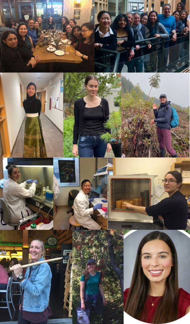 I am privileged to work with an amazing group of women doing research in #foresthealth #treedisease #WomenInSTEM #InternationalWomensDay @UBC @ubcforestry @NSERC_CRSNG @GenomeBC @GenomeCanada @GenomeQuebec @NRCan @FPInnovations