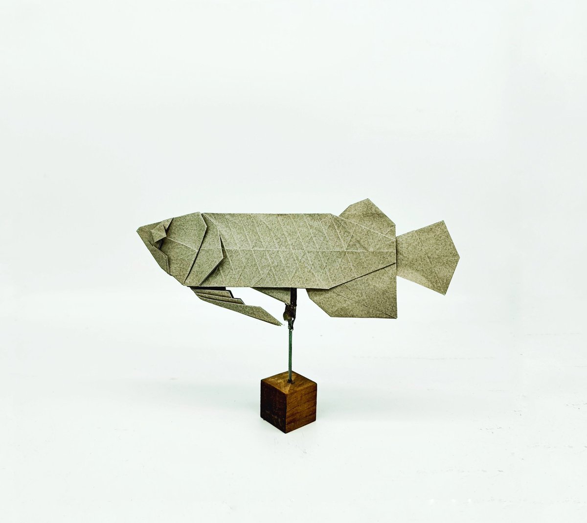 Reverie543's tweet photo. 金龙鱼
by @Kaiming_origami https://t.co/hVTaJJHrj6