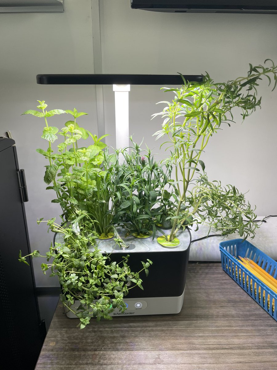 Heather Shulman (@shulmanshines) on Twitter photo Popped into <a href="/HickoryRidgeES/">Hickory Ridge Elementary</a> to add water to the <a href="/AeroGarden/">AeroGarden</a>’s. Our 🤠are going to get shocked at the growth! Grateful for grants for this experience. <a href="/unionpowercoop/">Union Power Cooperative</a> <a href="/NCSLMA/">NCSLMA</a> <a href="/CabCoSchools/">Cabarrus Co. Schools</a> Popped into <a href="/HickoryRidgeES/">Hickory Ridge Elementary</a> to add water to the <a href="/AeroGarden/">AeroGarden</a>’s. Our 🤠are going to get shocked at the growth! Grateful for grants for this experience. <a href="/unionpowercoop/">Union Power Cooperative</a> <a href="/NCSLMA/">NCSLMA</a> <a href="/CabCoSchools/">Cabarrus Co. Schools</a>