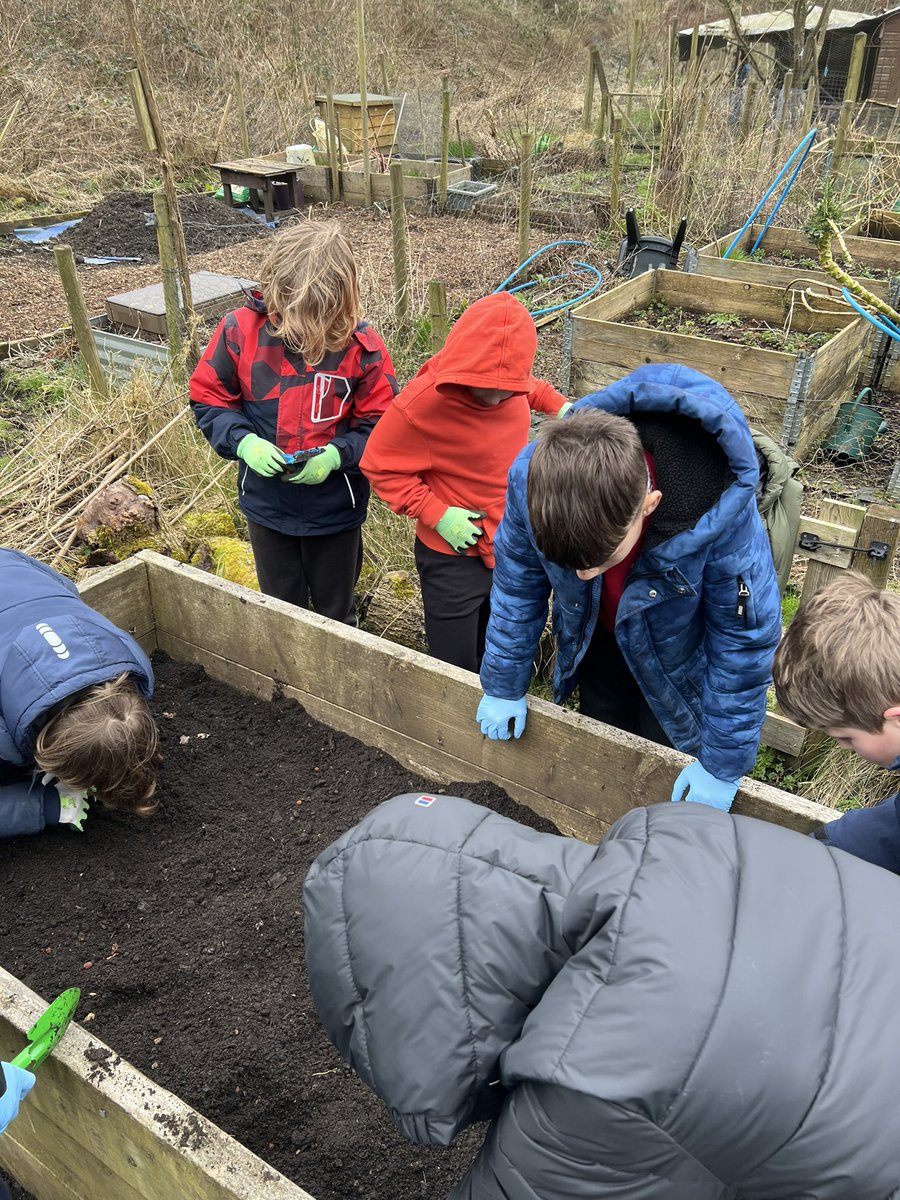 Class 3 tweet media