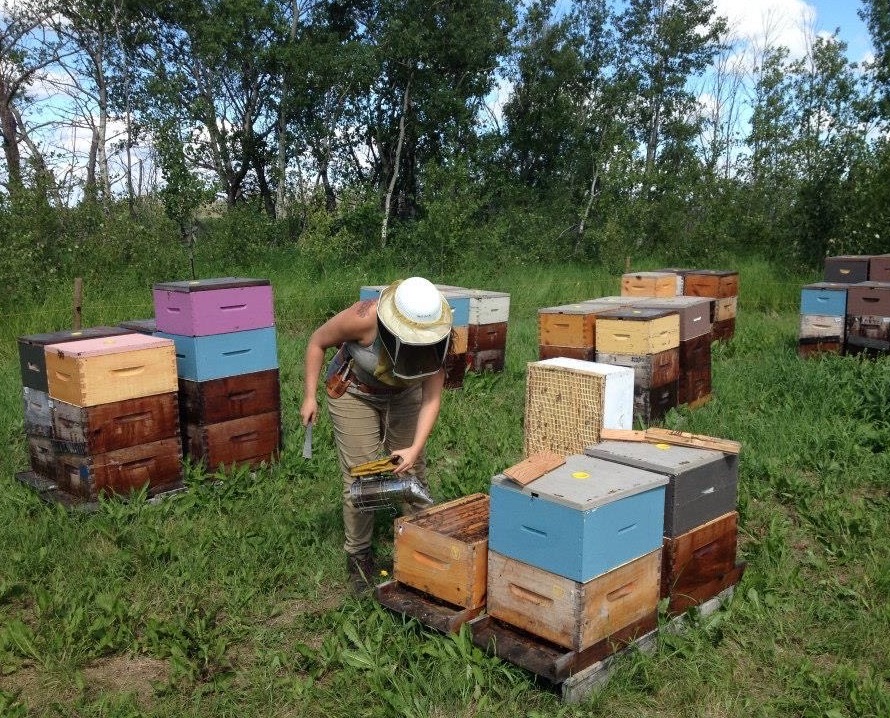 NOD Apiary Products tweet media
