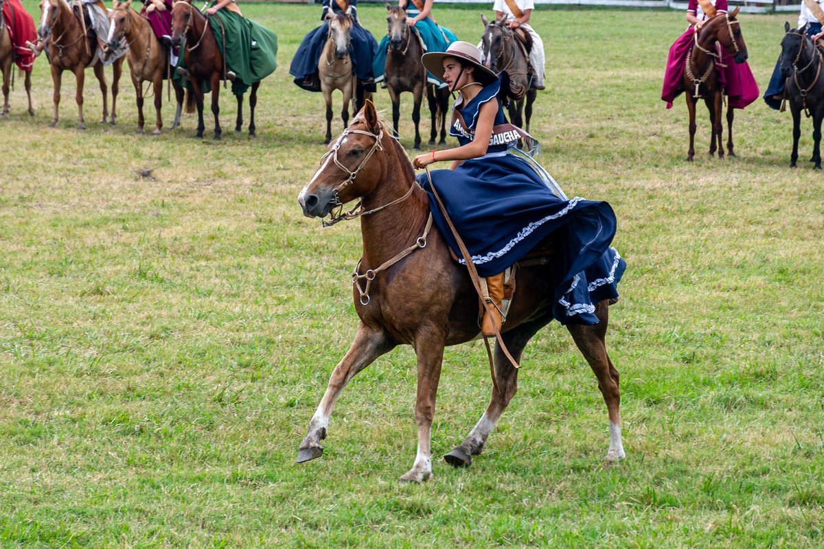 Esta mañana, en la Patria Gaucha, tuvimos el honor de presenciar la Presentación Ecuestre de las postulantes a 'Flor del Pago'. 🌸🐎 Un espectáculo lleno de gracia y elegancia que refleja la esencia misma de nuestra tradición y cultura gaucha.