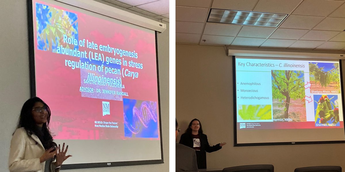 🌟Molecular Biology &amp; Interdisciplinary Life Science Participation in NMSU’s Research &amp; Creativity Week 2024! Five current students and one alumnus participated.🌟 
For more info go to -instagram.com/nmsu_molbio/