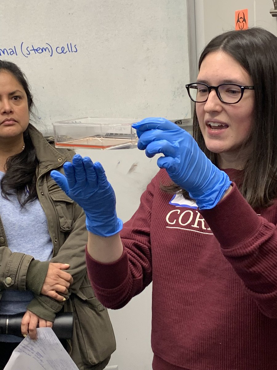 I’ve been drafting an informal history of Cornell’s Community Cancer Partnership with the intention of sharing ideas about connecting young cancer researchers with the local cancer community.  blogs.cornell.edu/cancercommunit…