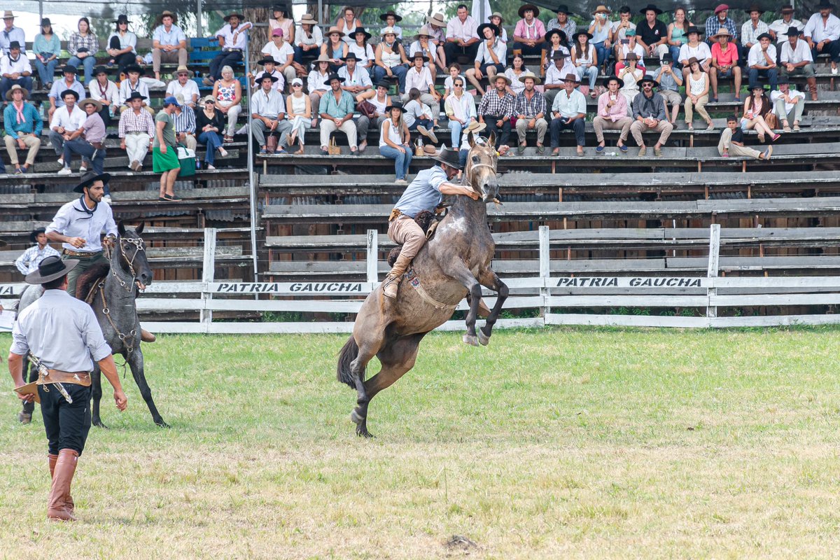 ¡Hoy en la Patria Gaucha, la emoción estuvo a flor de piel con la Carrera del Charrúa, (sociedades participantes) y la Rueda Nacional en pelo y basto (72 montas)! 🏇