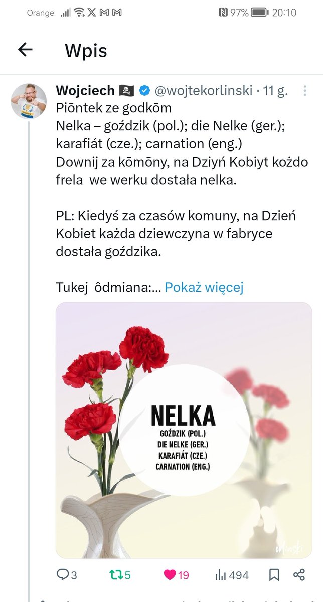 Fana43124688's tweet image. Silesian word of the week: #Nelka (carnation)
🥀
Example sentence:
In the past, on Women's Day, during communism, every woman received such carnations.
#Silesia #languages