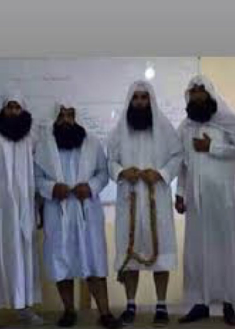 قريبا ممر التربية والاداب