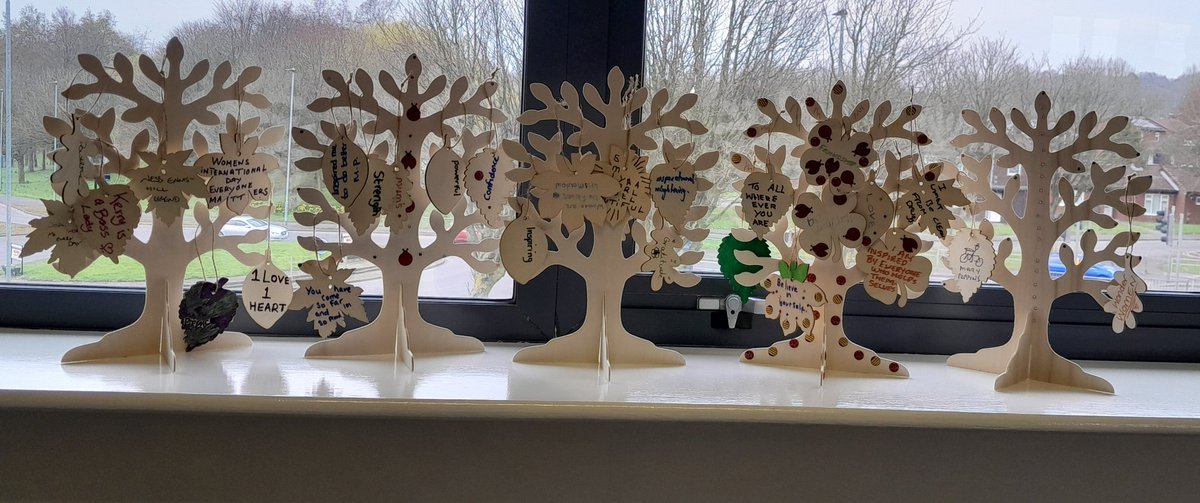 Celebrating International Women's Day @ Expert Citizens. Our members created these fabulous trees today. Each leaf with an inspirational message. This will take pride of place in our office.