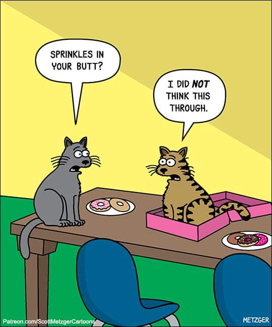Dis one jus cracked me up. #FridayFunnies @LittleMaineCoon @JoyOfCats @GeneralCattis @mitsy2714 @MaineCoonCatsOH @JusticeToAll @AmandaSmokeyIs1 @TheCatMalice @HugoStevens15 @LordGraydon @geneangelo