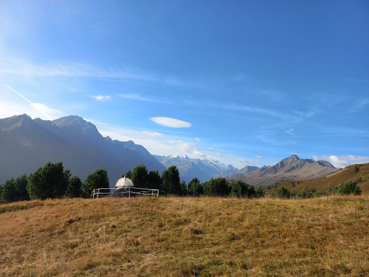 🚨 Come work with me! 🐜💐🦗🌿🕷️ Fully-funded postdoc position (18 months) in #Innsbruck; topic: #monitoring #arthropods, #plants, #biodiversity in Austria via #eDNA (some flower washing included). Full job-ad: uibk.ac.at/de/zoology/for… Please share and RT! @AAEuibk @uniinnsbruck