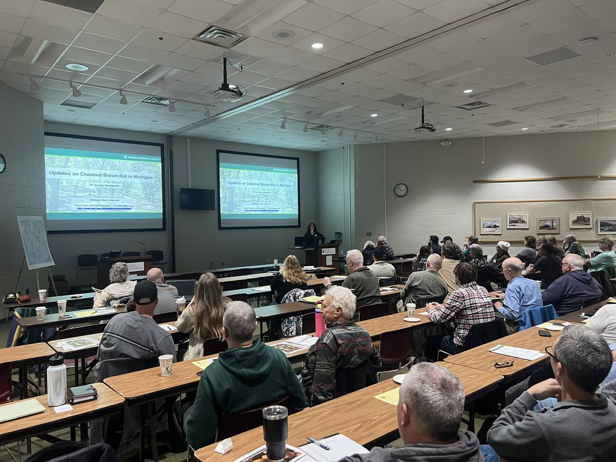 Dr. Giorgia Bastianelli discussing an update on brown rot of chestnuts at the annual Midwest Chestnut Producers Council meeting at @KelloggBioStn! @MSU_PSM @MSUAgBio @MSUExtension 🌰 🌱 🦠 🍄