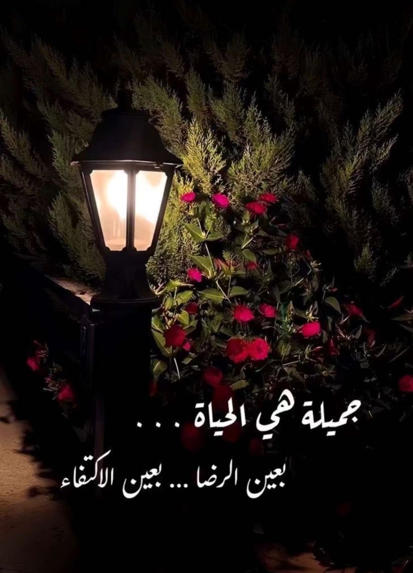 <a href="/waleedkah/">وليد بن خالد</a> دمت بود وغالي #مساء_الاجواء_الحلوه 
#رمضان_2024