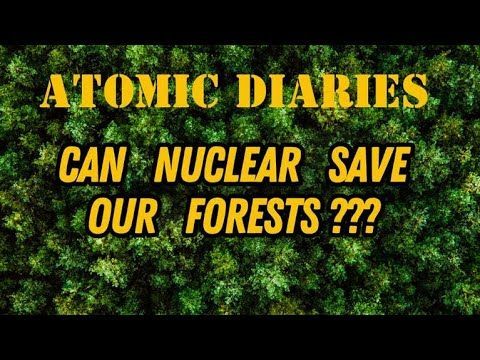 NEW YOUTUBE VIDEO!!!!

Back in 2017 @BenPHeard <a href="/EricGMeyer/">Atomic Eric ⚛️✊</a> and @Tay_Stevenson visited some determined environmental activists residing in one of Europe's oldest and most cherished woodlands,  the "Hambach Forest". 

buff.ly/3wHTW8h