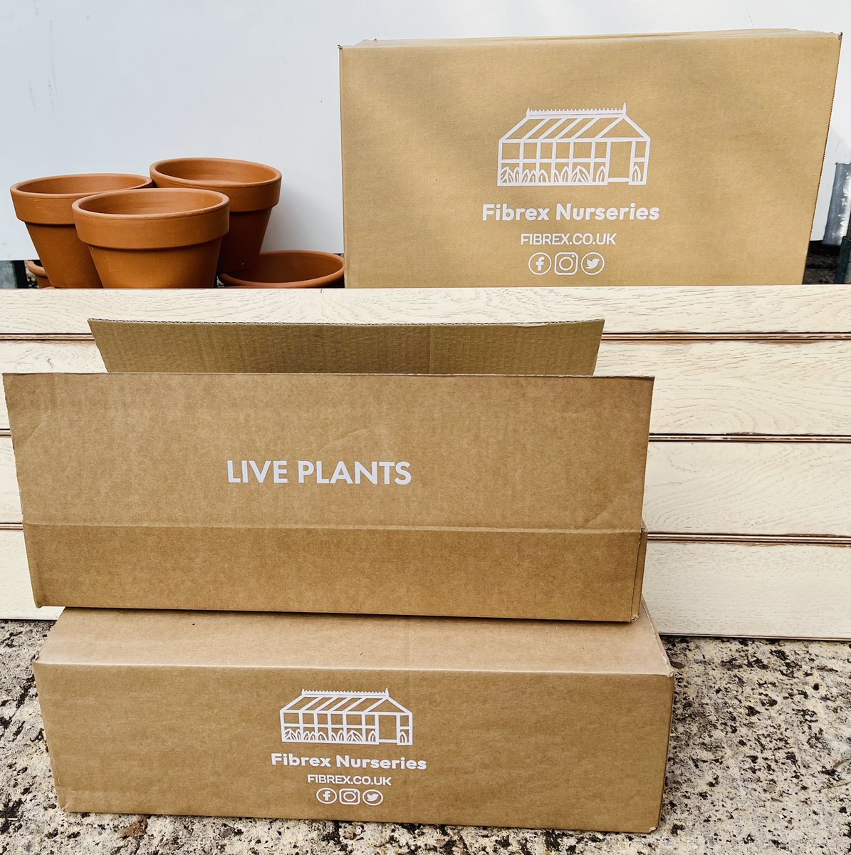 Fibrex Nurseries (@fibrexnurseries) on Twitter photo Not a ‘Pelargonium’ post, but a ‘Pelargonium Packaging’ post for a Friday! We hope you enjoy unboxing your favourite plants from their new transport homes ‘aka boxes’! Not to forget when they arrive to give them a couple of days to recover from their journey in a nice shady spot. Not a ‘Pelargonium’ post, but a ‘Pelargonium Packaging’ post for a Friday! We hope you enjoy unboxing your favourite plants from their new transport homes ‘aka boxes’! Not to forget when they arrive to give them a couple of days to recover from their journey in a nice shady spot.
