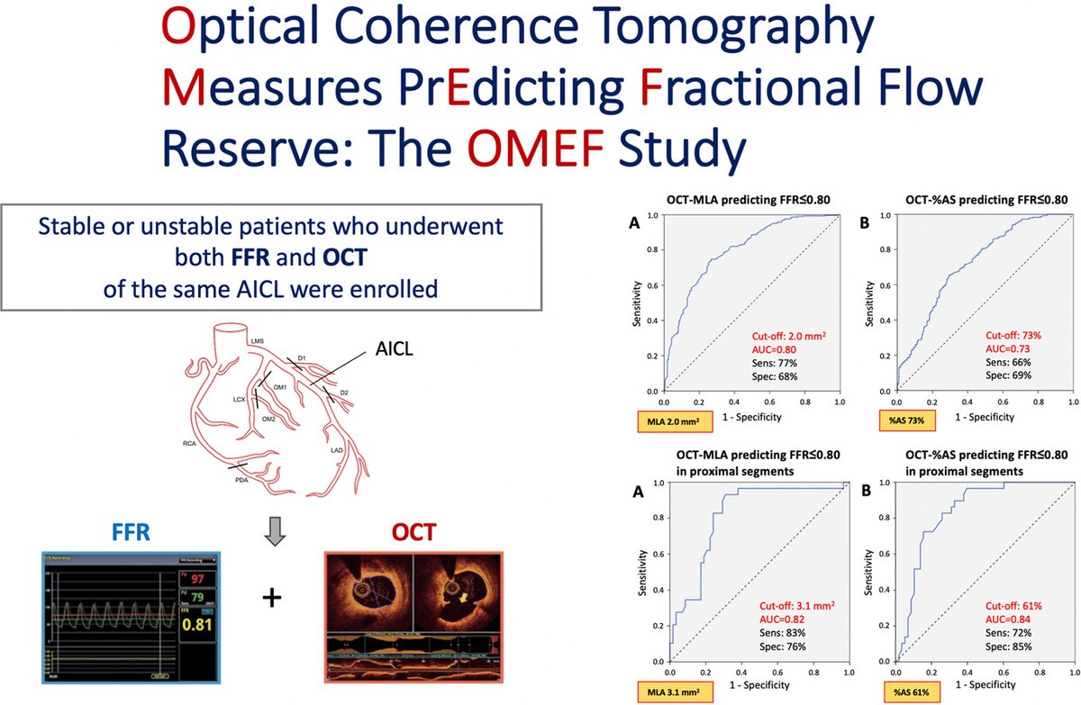 📖OMEF Study - multicenter, international, pooled analysis of individual pt-level data from published studies assessing FFR & OCT on the same vessel. 💡#OCT #FFR #PCI ➡️doi.org/10.1016/j.jsca… @BURZOTTA_F @RoccoVergallo @MarLombard1 @AntonioMariaLe2
