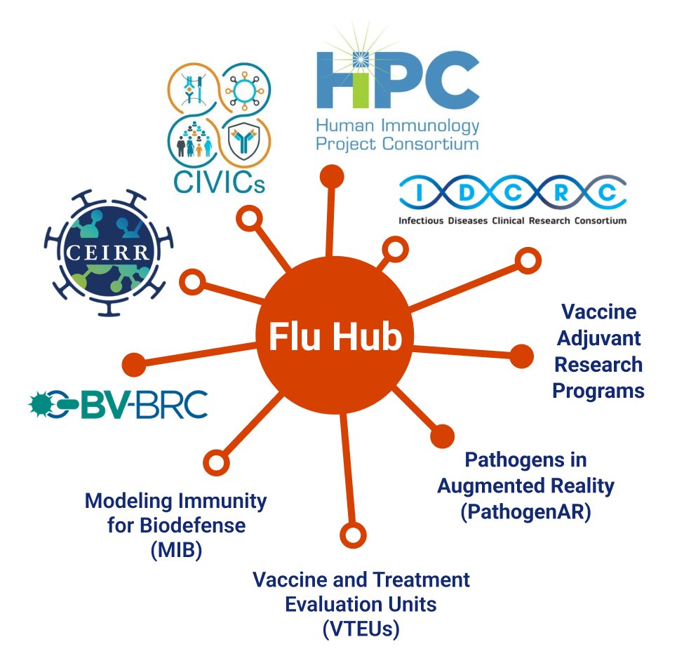 CEIRRNetwork's tweet photo. Unclear about which NIAID-funded programs study influenza? Check out the Networks page on #FluHub to learn about their individual goals, type of research, and how their work contributes to the Research Areas in the Strategic Plan: https://t.co/bp53JDftl7 https://t.co/wUpkUxYbc5