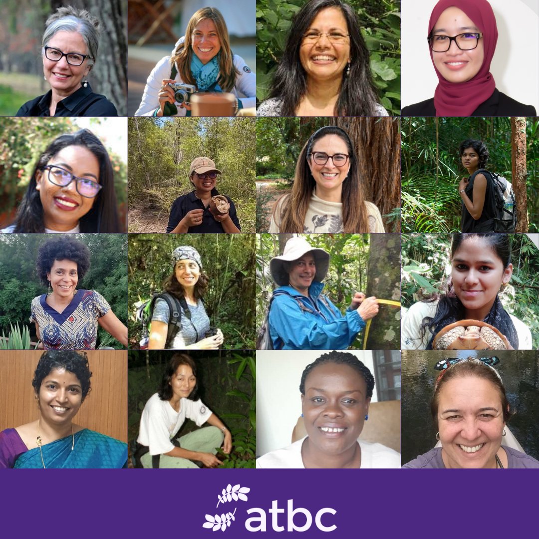 On #InternationalWomensDay, The Association for Tropical Biology and Conservation recognizes the crucial role women play in advancing scientific understanding and strategic efforts in conservation, adaptation, and resilience across the tropics. #WomenInScience #IWD2024