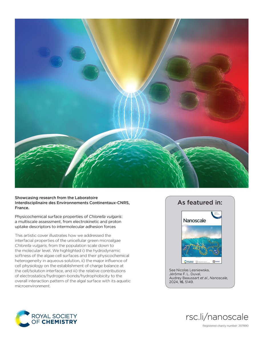 This Nanoscale cover from <a href="/labo_liec/">LIEC</a> article reports physicochemical surface properties of microalgae Chlorella vulgaris by an in-depth analysis of electrophoresis and AFM measurements, from population down to molecular scales! #LIEC👇
pubs.rsc.org/en/content/art…