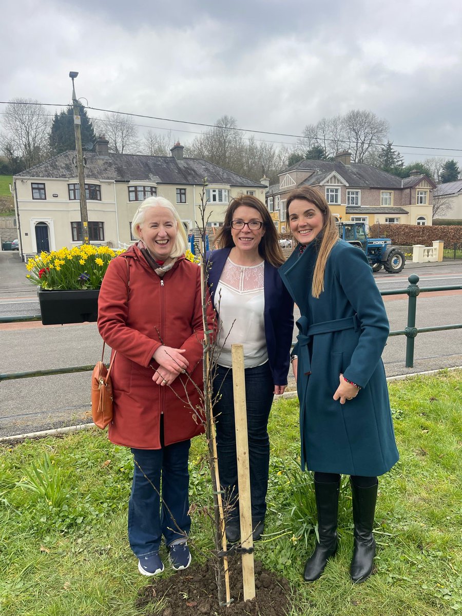 Great turn out in Cavan today for our Tree planting as part of #fosteringawarenessweek24 #growinghope #fosteringthefuture