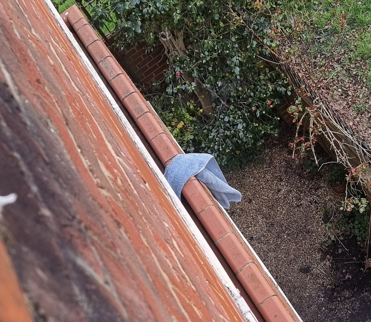 Waleed Akhtar tweet media