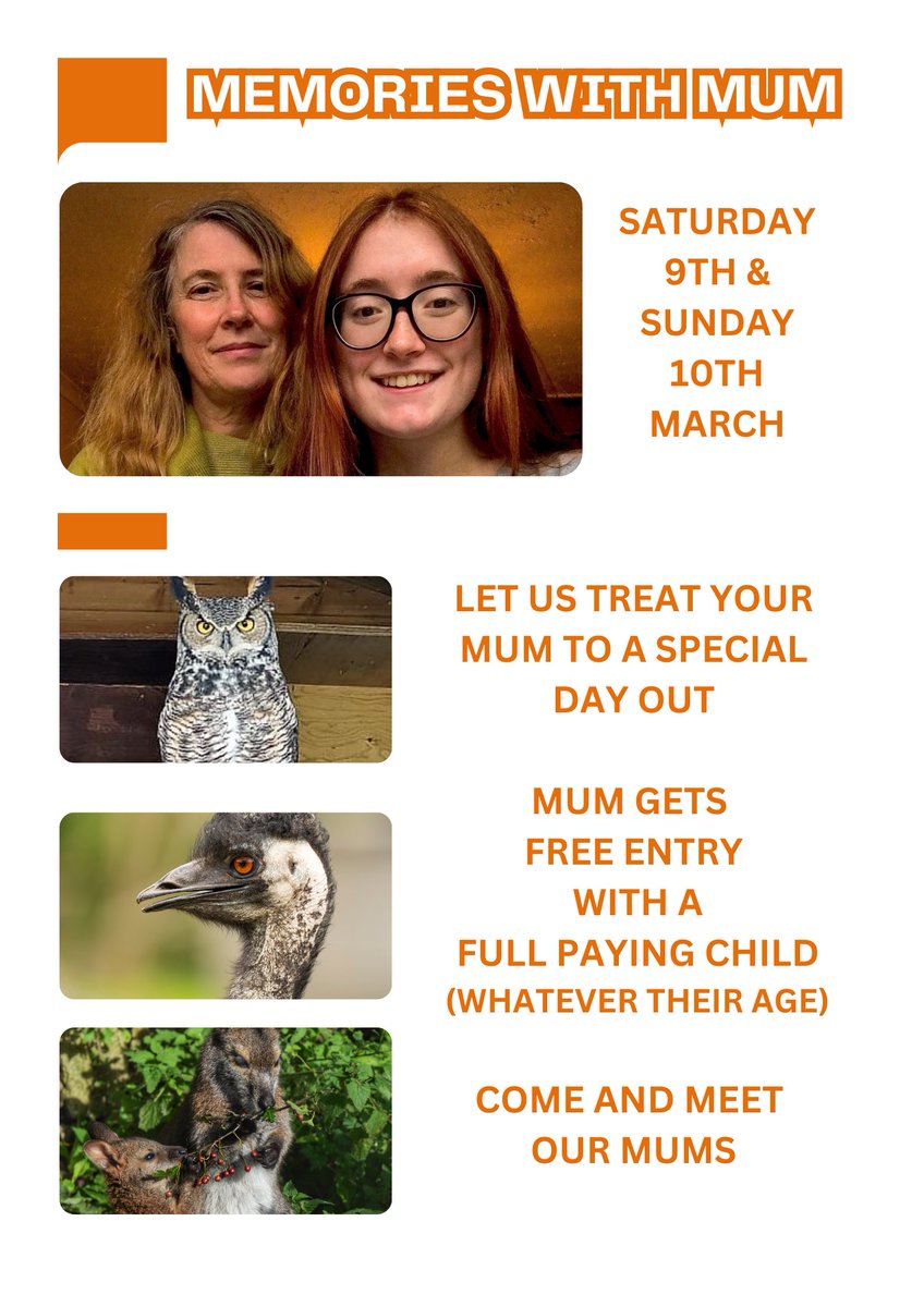 We look forward to welcoming you to the Sanctuary this weekend to celebrate Mother's Day💐 Open 10am and 4pm with flying displays & owl talks in the barn if wet. #mothersday #screechowlsanctuary🦉