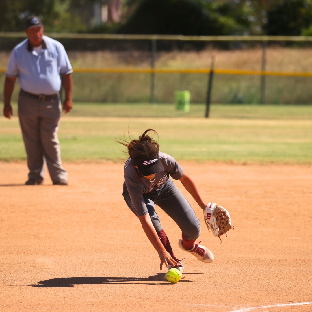 TC Fastpitch tweet media