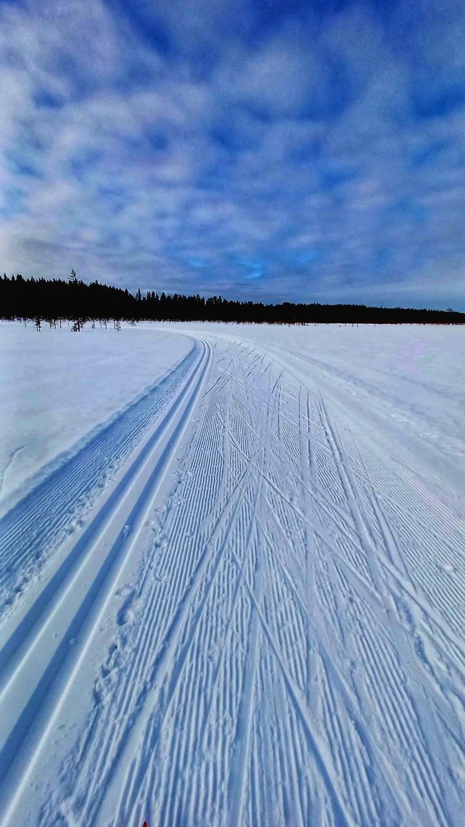 minna625's tweet photo. #Talviloma'ni tavoitteet saavutettu. 😀 Olen hiihtänyt rennosti hyvissä keleissä 100 km #pertsa'a. Lomaa on vielä jäljellä.
Tällainen "ammattimainen" kuntoliikkuminen sopii minulle. Keskittyminen omaan tekemiseen ja palautumiseen jättää maailman eri tasojen kohinat taustalle. https://t.co/EV6iSmtC1E