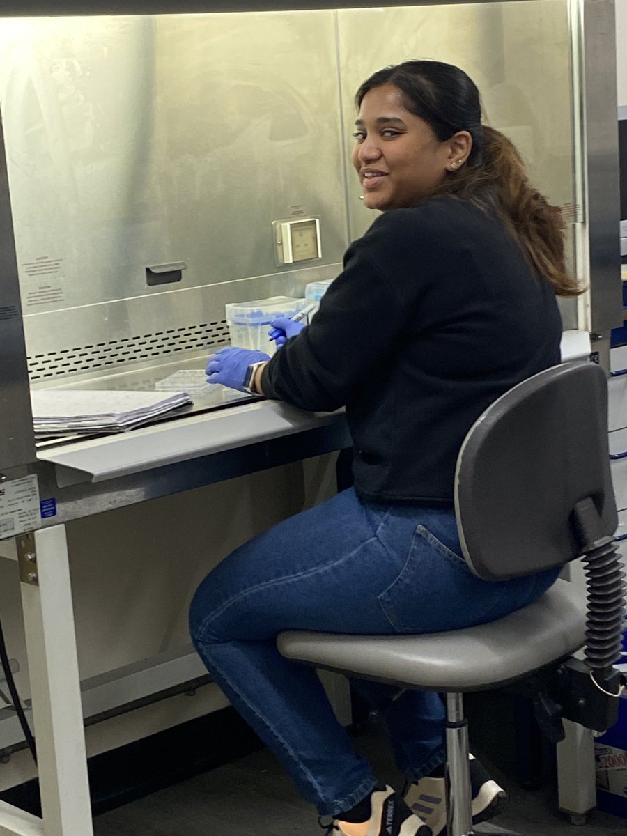 Dental School Research Society (DSRS) tweet media