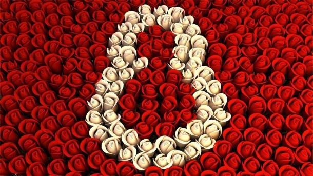 caroquint's tweet photo. ¡FELIZ DÍA MUJERES! https://t.co/8IpiAMpIb0
