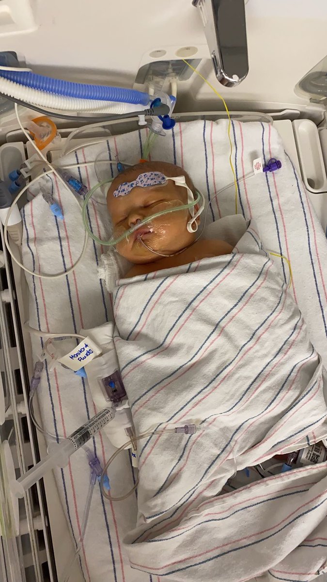 Hi Everyone! My new baby niece, Emma hasn’t had the easiest of starts to life. I want to do anything in my power to help my family. Here’s a link to a Go Fund Me and you can read her story. Anything helps. Thank you! gofund.me/f505c90c