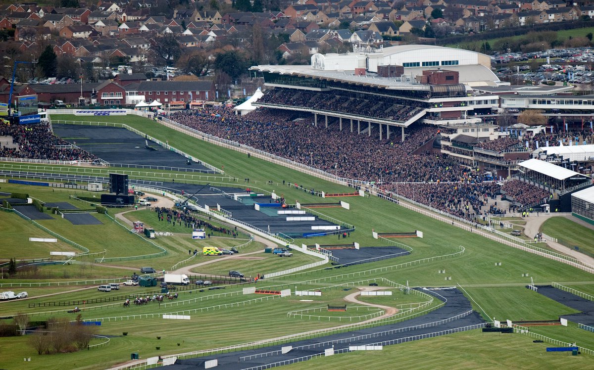 RacingPost's tweet photo. WELCOME TO THE 2024 CHELTENHAM FESTIVAL 🤩 https://t.co/FogAdksi0z