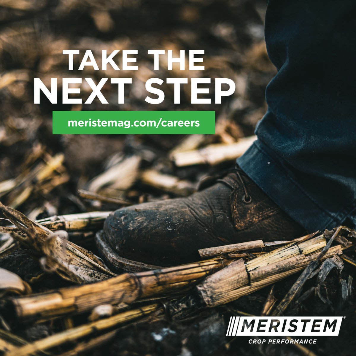 Are you passionate about bringing value to American farmers? Do you thrive in a fast-paced environment surrounded by like-minded people? Explore our various job openings and take the next step towards a more fulfilling career: meristemag.com/careers/