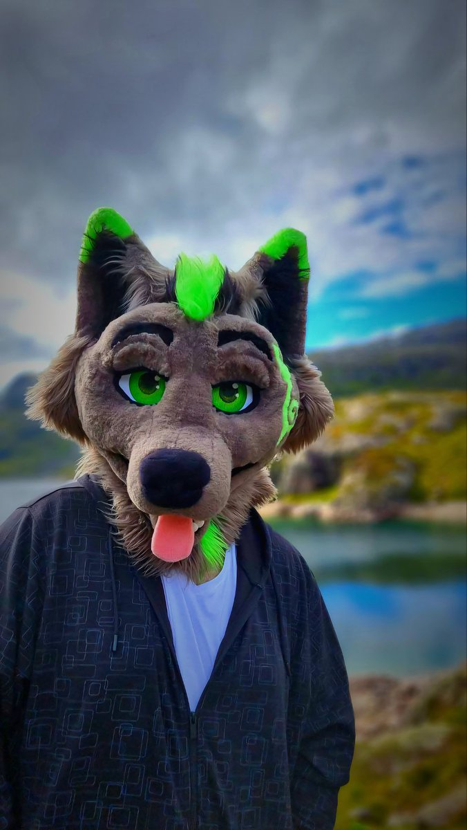 Venom (@furvenom) on Twitter photo Come travel with me in Norway π³π΄
π· <a href="/AbsoluteJoonit/">Hi I'm Jooni ππ³οΈβπ</a>
{#FursuitsFriday #furry #fursuit} Come travel with me in Norway π³π΄
π· <a href="/AbsoluteJoonit/">Hi I'm Jooni ππ³οΈβπ</a>
{#FursuitsFriday #furry #fursuit}