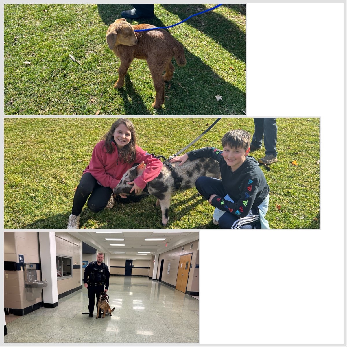 We had some furry friends join us today for the MVMS Career Day!