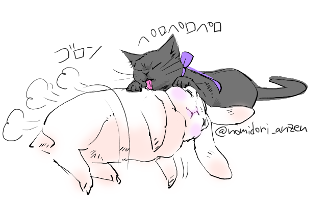 🐰🐱ver