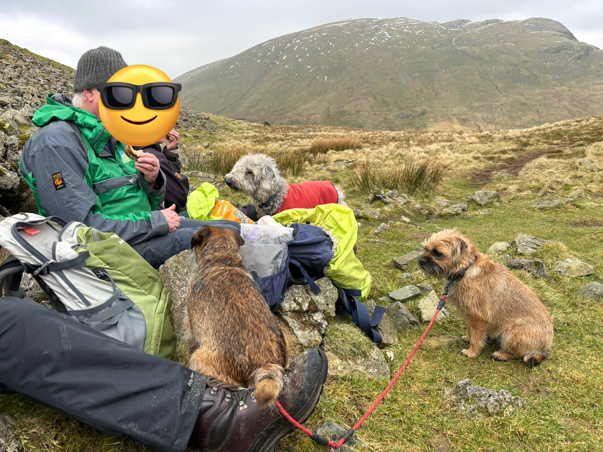 Back out on the fells supervising the #fixthefells volunteers, (added bonus - success at brew time 😁😋) @HooliNuala #btposse #borderterrier #thelakedistrict