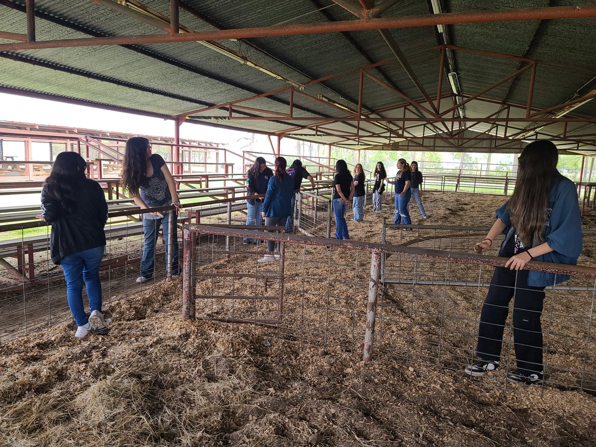 MrsKSchroeder's tweet photo. Day 1: Stancil Park Work Day! Gonna make that pig barn look good. #FFAntastic #ClevelandFFA #TheClevelandISDWay @ClevelandISDTX @WEARECHSINDIANS @ClevelandISDCTE @CHS_CISD https://t.co/7swfePusRQ