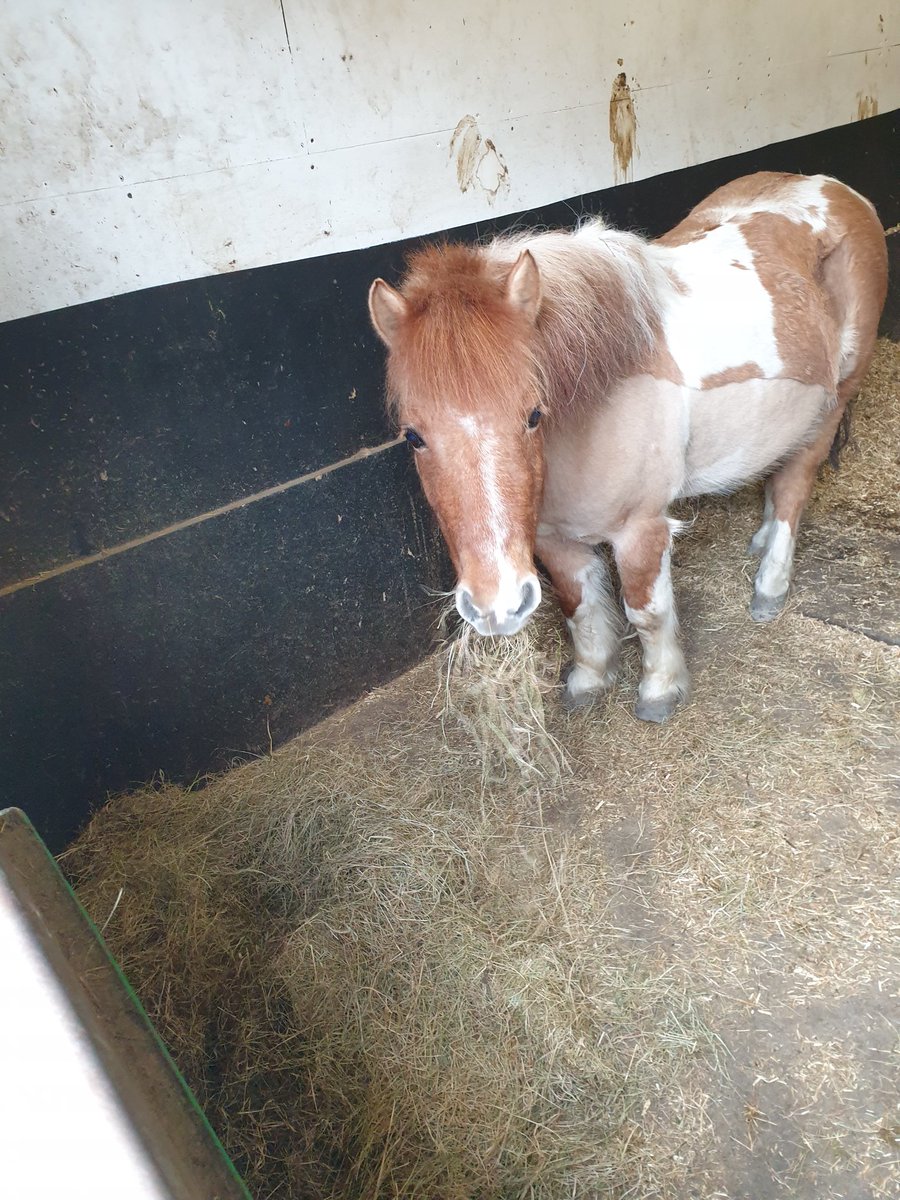 Lovely morning visit to all our friends in @ChildVisionVI . The ECLO service works closely with Audrey and her team in linking children and their families to their services. Delighted to have had a visit to the stables, the library and 3d printing too.