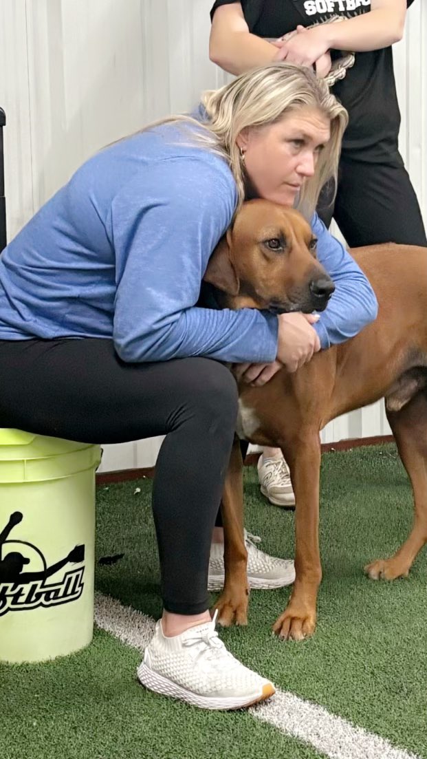 My assistant coach is the best. I know every coach says that about their assistant coaches but mine is actually the best #goose #rhodesianridgeback