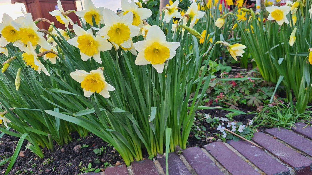 Have a great weekend. Spring is coming! <a href="/Dave_Betts/">Dave Betts</a> <a href="/ColchBK/">Colchester Bike Kitchen</a> <a href="/EssexHundred/">Essex100Publications</a> <a href="/jimharanbbx/">Jim Haran</a> <a href="/OnlyWai/">WRITE WAI</a> <a href="/TheGazette/">The Gazette</a> <a href="/wivenhoebooks/">Wivenhoe Bookshop</a> <a href="/YLidgate/">Yvonne Lidgate</a> <a href="/WayneCollier/">Wayne Collier</a> <a href="/InkpenDownie/">InkpenDownie</a> <a href="/colchestersoup/">Colchestersoup</a> <a href="/colbiz/">ColchesterBusinessGp</a> <a href="/RedRocketStudio/">Red Rocket Studios</a> <a href="/BWNcouk/">The BWN Insiders</a> @WhereDoesItCome <a href="/Marigoldcater/">Marigold Engineers</a>