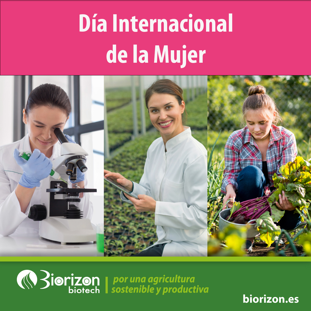 El Día Internacional de la Mujer se conmemora para no olvidar y visualizar la lucha que las mujeres deben realizar día tras día para adquirir los mismos derechos que los hombres. #agriculturasostenible #DiaInternacionalMujer #8M