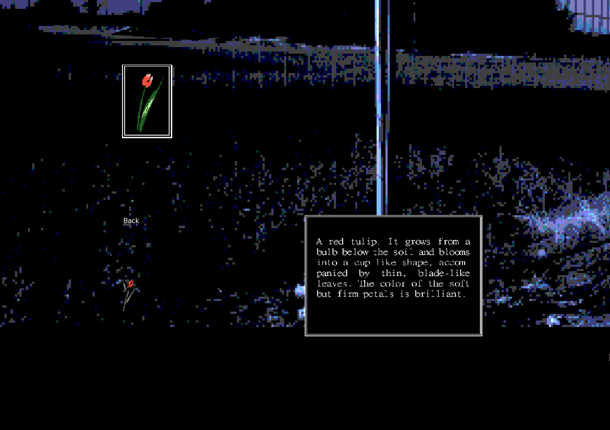 mr. yunan (@mister_yunan) on Twitter photo 