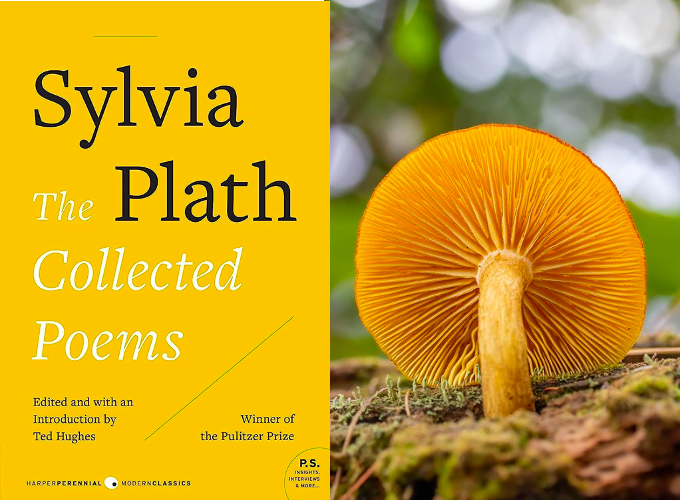 This week's Poetry + Fungus feature is Sylvia Plath's THE COLLECTED POEMS (Harper Perennial, 2018; originally pubbed 1960). 
Cover design: Milan Bozic
Fungus photo and ID: Barbora Batokova
. 
. 
#poetryplusfungus #interrupshroom